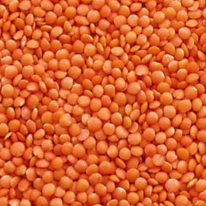 Mushurir dal | Red Lentil - 2lb